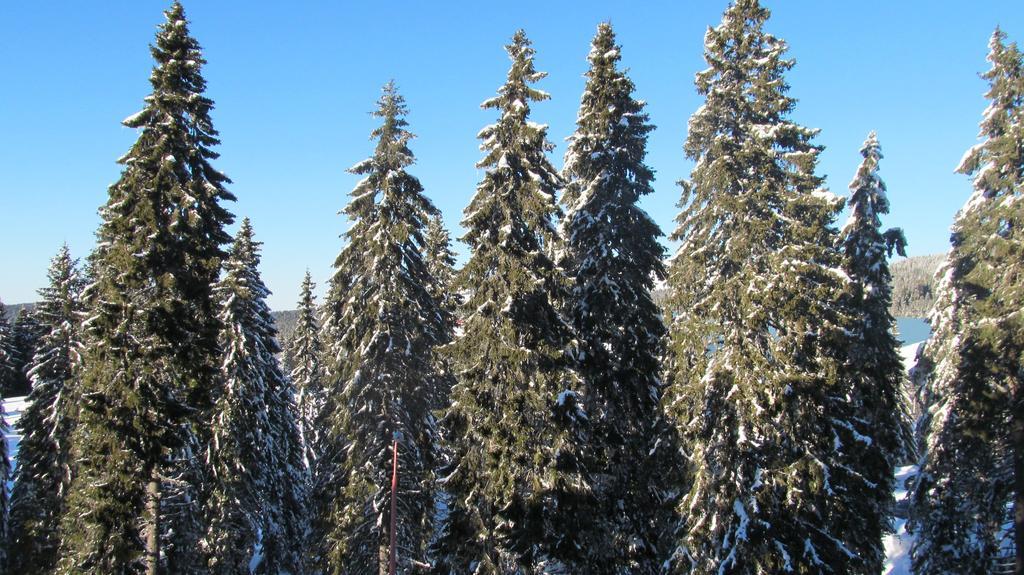 Apartments Vanja I Vrh Kopaonik Exteriér fotografie